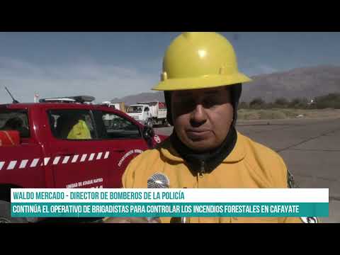 SALTA - Continúa el operativo de brigadistas para controlar los incendios forestales en Cafayate