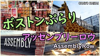 【ボストン】アッセンブリーロウをお散歩