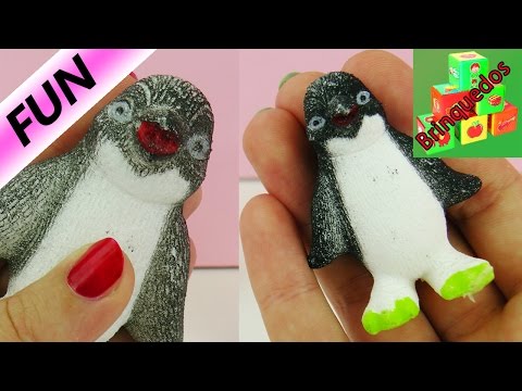 Pinguim como Orbeez - Pinguim encolheu e diminuiu sem água