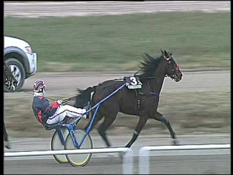 Trotto 24/01/2017 - 1ª corsa