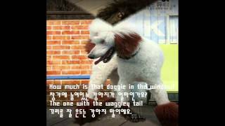 Patti Page - How Much Is That Doggie in the Window