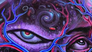 Terence Mckenna - DMT, Mathematical Dimensions, Syntax and Death