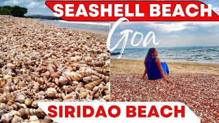 Goa Seashells Beach | October 2022 | Siridao Beach | Goa Vlog | Goa