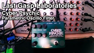 Video thumbnail for LastGasp Art Laboratories - Cyber Psychic Oscillo Filter Pedal Demo (with synths and drum machine) by Stephen McLeod