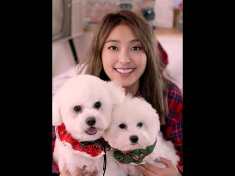 스타쉽플래닛 Starship Planet [사르르(Softly)] MV