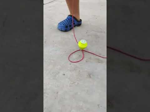 bailo el trompo✌️el roky se atraviesa🐕