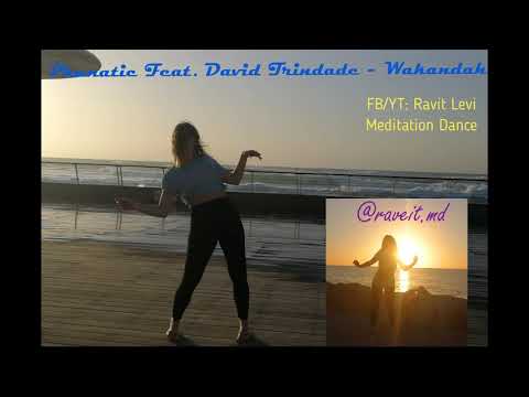 Phanatic Feat. David Trindade - Wakandah - Ravit Levi Meditation Dance
