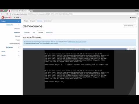 Stackanetes: Technical Preview