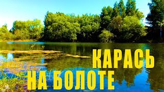 Ссылка