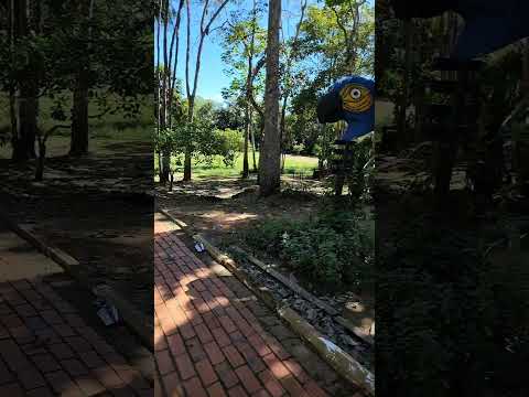 Fim da pedalada no parque c.ciriaco !!