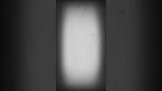 この動画には低評価を押してください