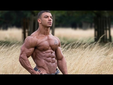 Motivación GYM | ¡DETERMINACIÓN, COMPROMISO Y ENTREGA!