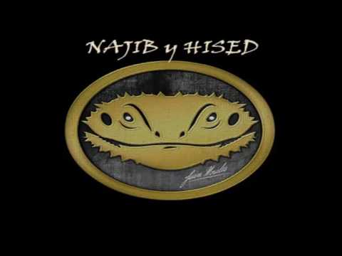 NAJIB y HISED - Premios sin Ideología |MENTES INDECENTES|