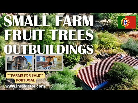 🌄 Small Farm | Fruit Trees | Outbuildings | Central Portugal | €69000