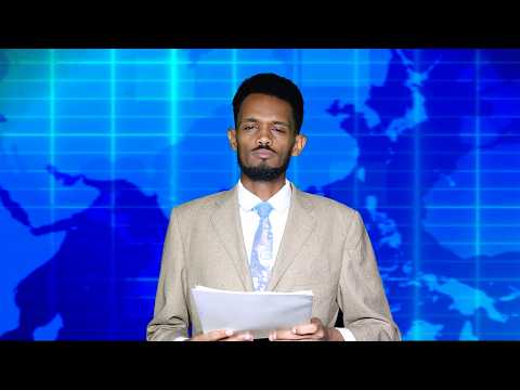 Warka Universal TV 02 03 2025