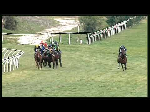 Galoppo 11/02/2020 - 4ª corsa