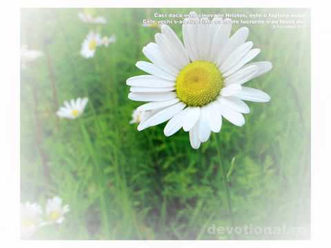 GRUP PARTASIA - BUNULE INVATATOR.wmv