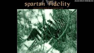 Spartan Fidelity - Where is this Coming From