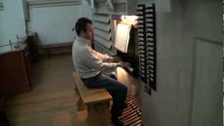 preview picture of video 'ANDREA LUCCHESI: Sonata in fa maggiore'