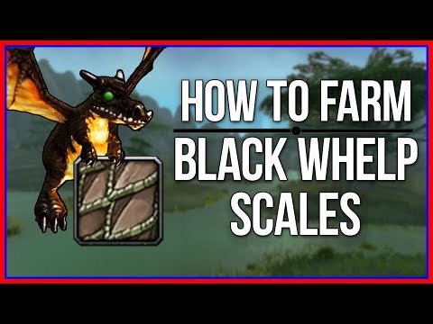 How to Farm Black Whelp Scales - 480/hr