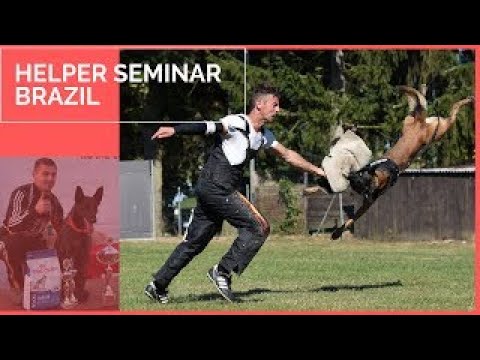 Dog training "Helper Seminar "in Brazil with Viorel Scinteie !!!