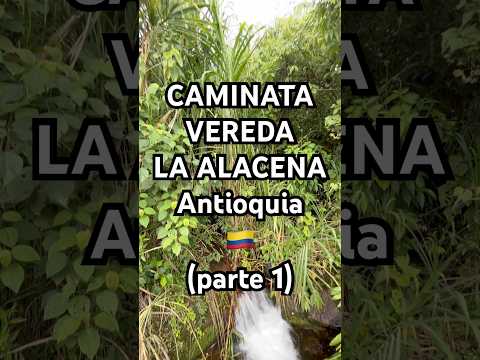 CAMINATA A VEREDA LA ALACENA, Tamesis, Antioquia 🇨🇴 Colombia (Parte 1)