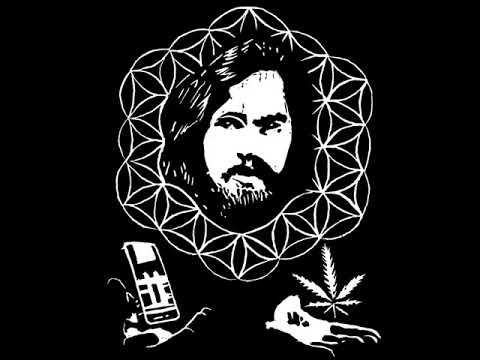 Whoopie Cat - Cicada (lyrics)