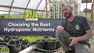 The Best Hydroponic Nutrients For Your System
