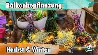 Blumenkästen für Herbst und Winter / Besenheide & Stacheldrahtpflanze | Balkonpflanzen Herbst Winter