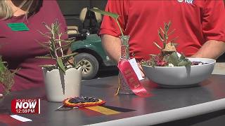 We get a look at some of the entries in this year's flower show