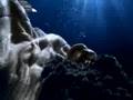 Aqualtis Underwater World