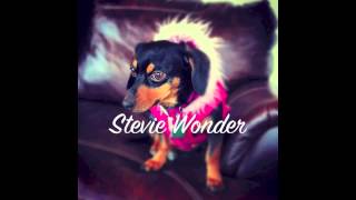 Stevie Wonder - Go Home
