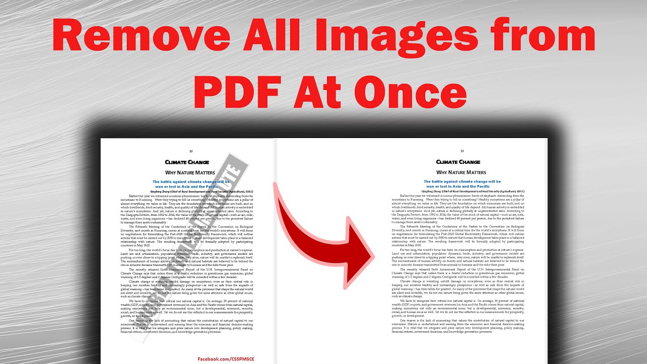 See how we can remove all the images from a pdf document at once. Like, my document has this image as a watermark on every single page. And also a smaller one at the bottom. There are more than 250 pages and we cannot delete every single one by one. As it is a time-consuming process. Let's see how we can do it with just a few clicks.