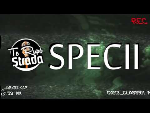 Specii - Te Rupe Strada! (Best Of SPECII | HIP HOP MIX)