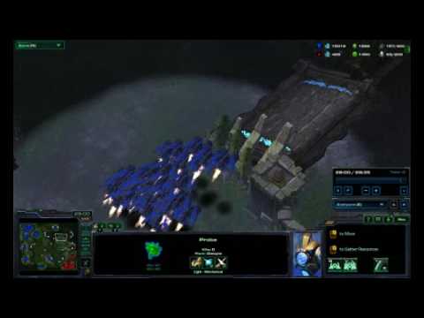 TvP Mass Ravens Attack & Cleanup