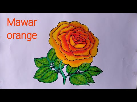  Cara  Menggambar Bunga  Yang Mudah Dan Bagus Semburat Warna
