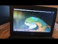 Safari Scrapbook Parrot