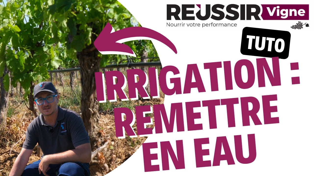 Le tutoriel Réussir Vigne - Irrigation : remettre son système en eau