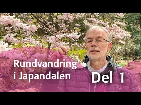 Rundvandring i Japandalen - del 1
