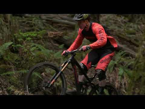 Tom Van Steenbergen - Unreal