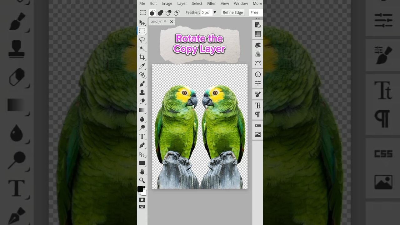 Rotate the Copy Layer no need Install apps