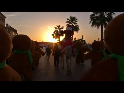 聖誕老人騎著駱駝進入迪拜。 (Santa Claus rides into Dubai on a camel)