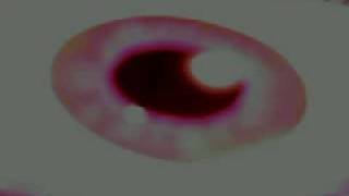 EDWARD KA-SPEL - "Avengelist" + "God in a Cupboard"