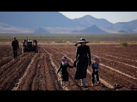 Description or Alt Text