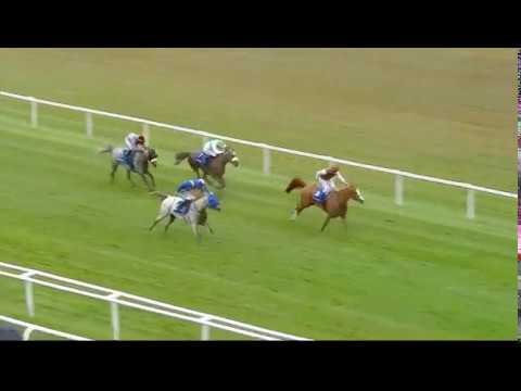 Shadwell Arabian Stallions Hatta International Stakes (Group 1 PA) - Newbury 29th July Race 5