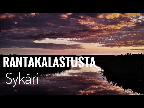 Rantakalastusta | SYKÄRI