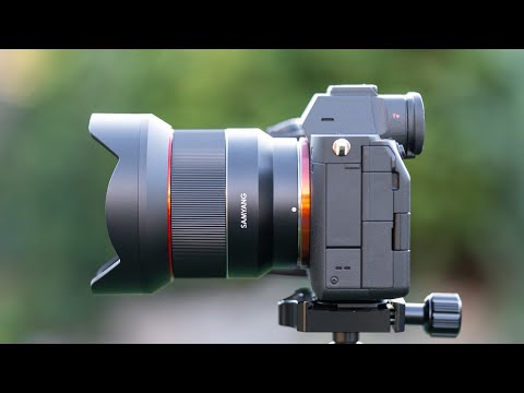 Samyang AF 14mm F2.8 FE Review w/ Sony A7IV [ E-mount ]