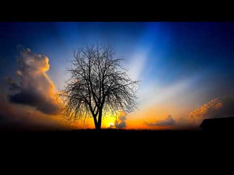 Elitist Keep -  Pushing (Wss Remix) (Sub.Mission Recordings)