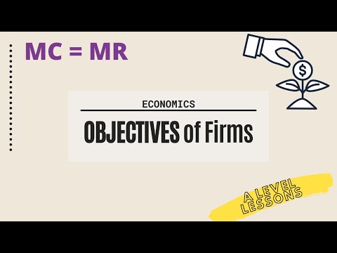 The MANY Objectives of firms (MC=MR, profit-max, revenue-max) | A Level Economics (2024)