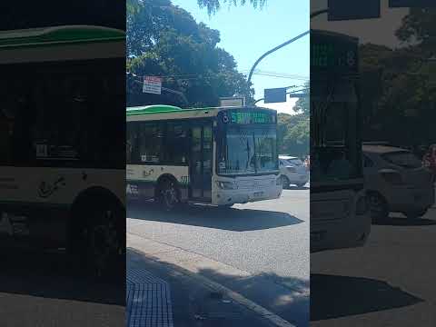 Linea 61 int. 173 (Italbus Tropea)